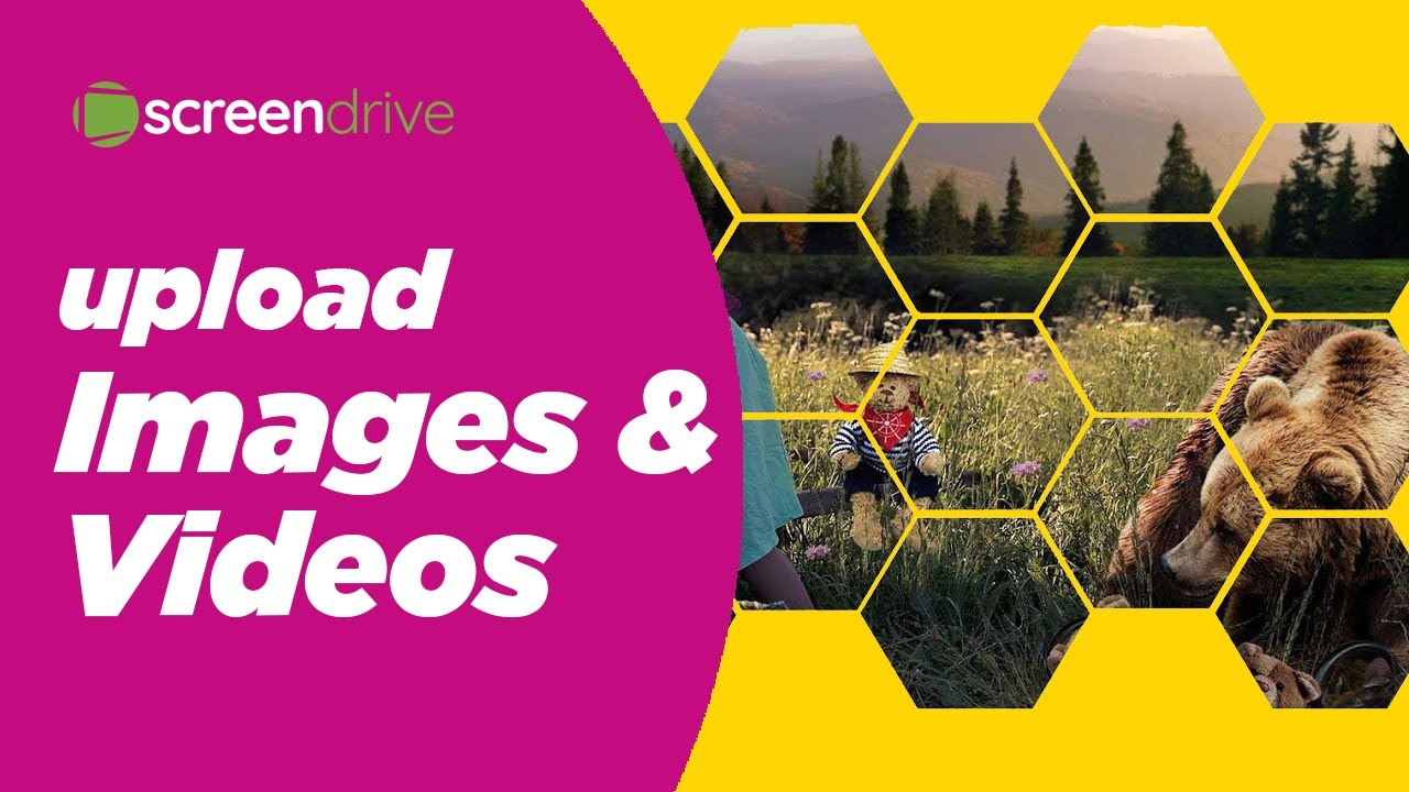 Upload images and videos in screendrive dashboard